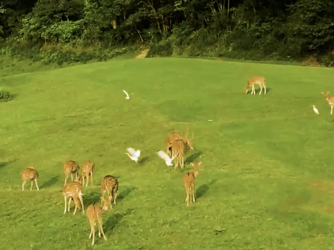 Gokarna Forest Resort Pvt. Ltd.